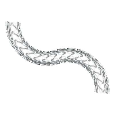Bare Metal Stent